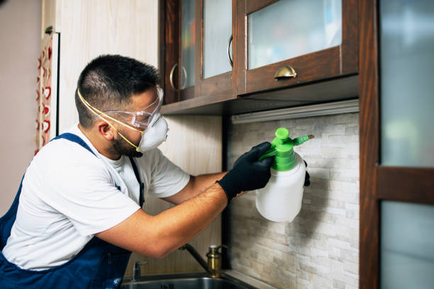 Best Pest Removal Services  in Homeland, GA