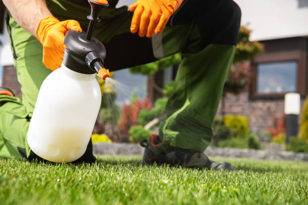 Best Exterminator Services  in Homeland, GA
