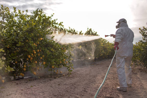 Pest Control Cost in Homeland, GA