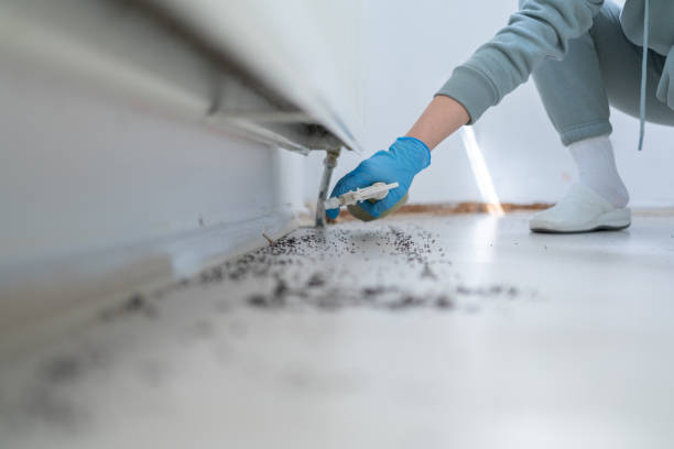 Best Bed Bug Extermination  in Homeland, GA